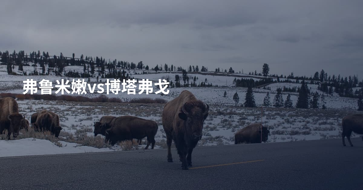 弗鲁米嫩vs博塔弗戈