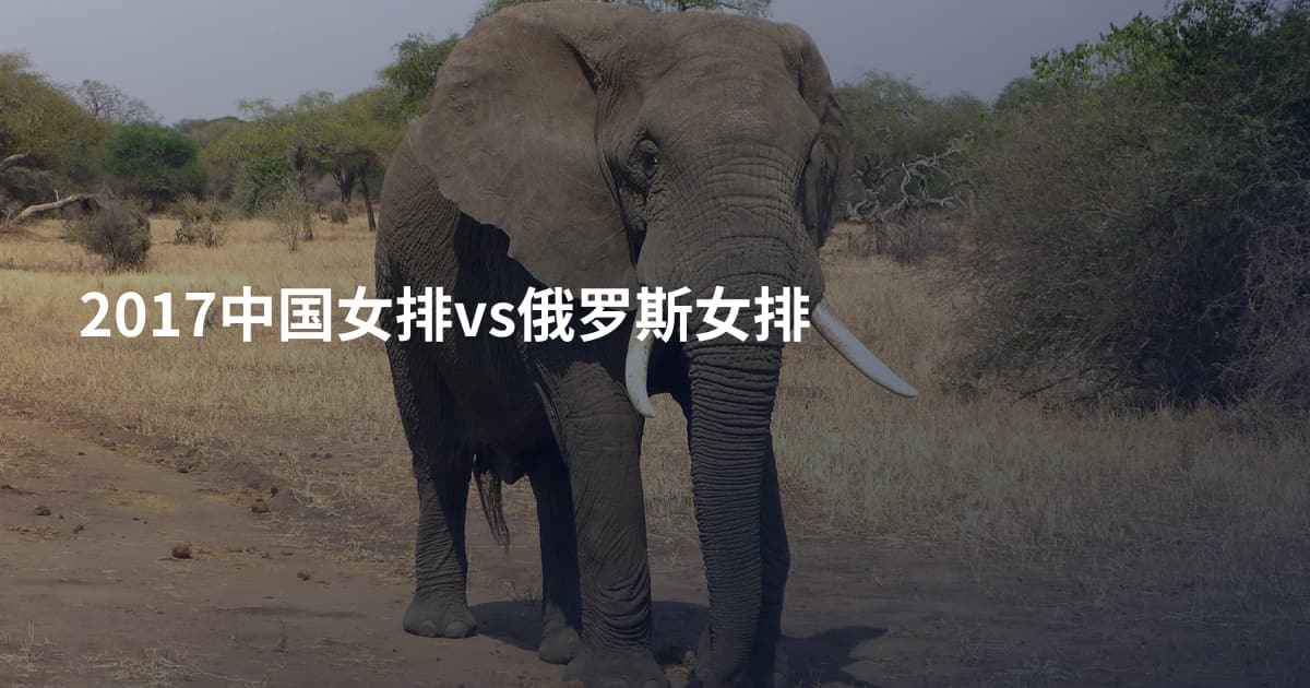 2017中国女排vs俄罗斯女排