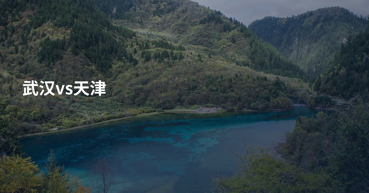 武汉vs天津