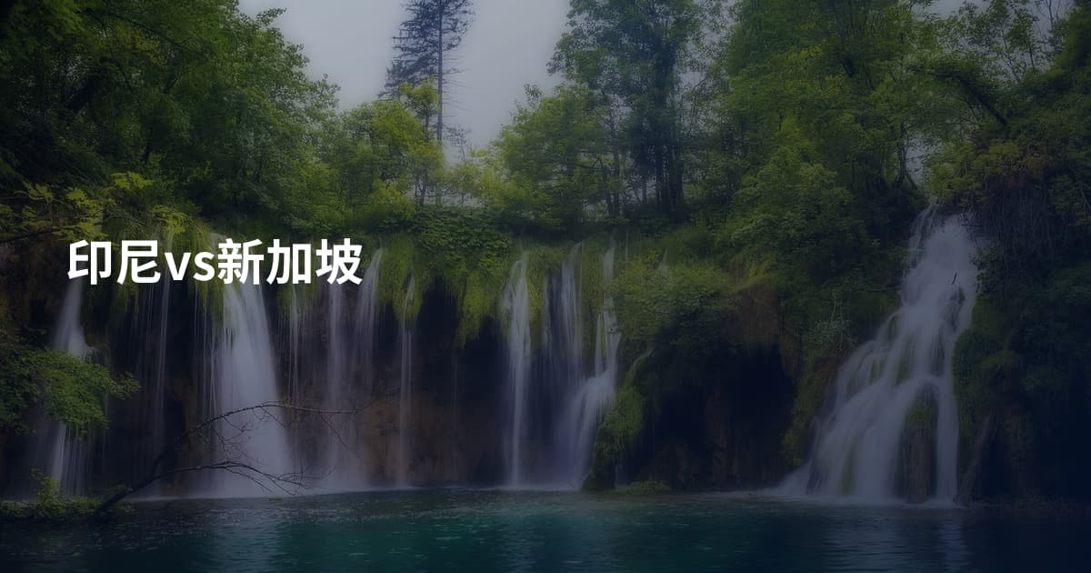 印尼vs新加坡
