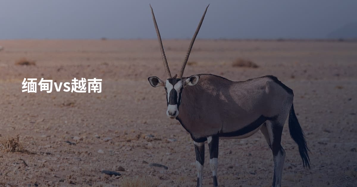 缅甸vs越南