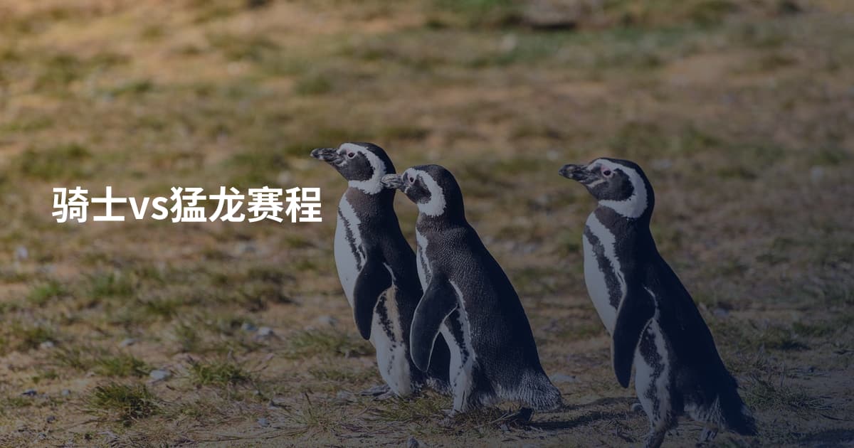 骑士vs猛龙赛程