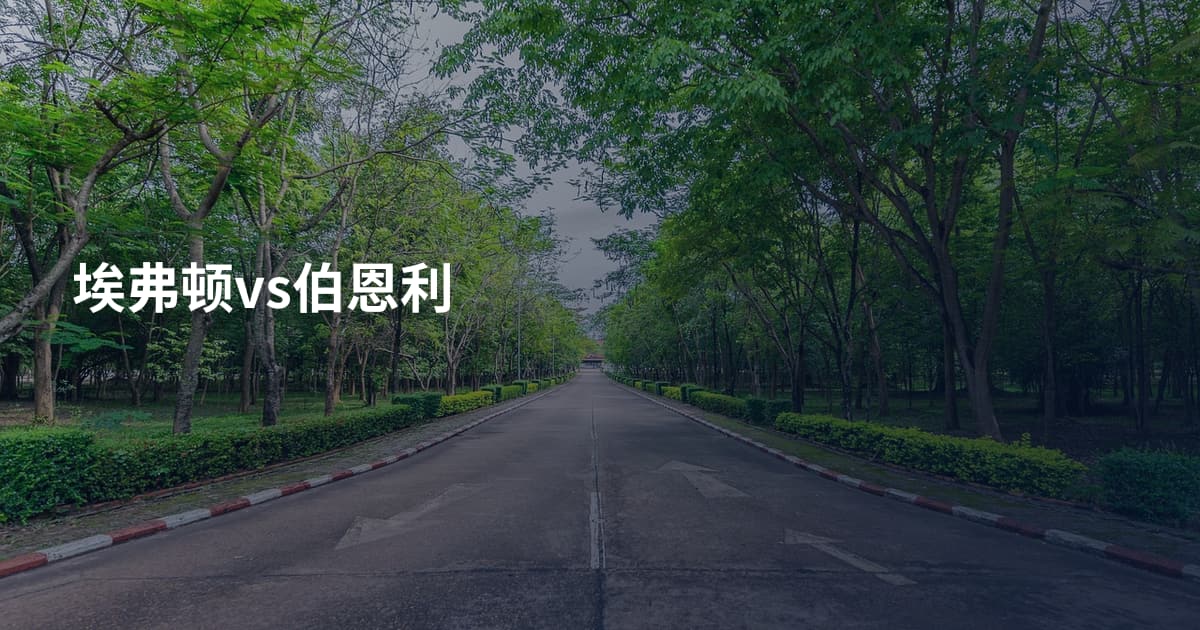 埃弗顿vs伯恩利