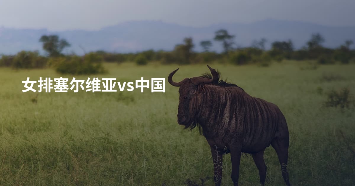 女排塞尔维亚vs中国
