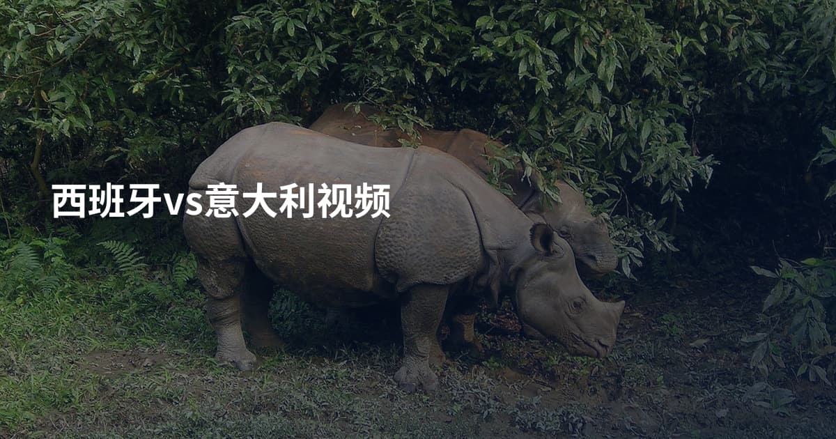 西班牙vs意大利视频