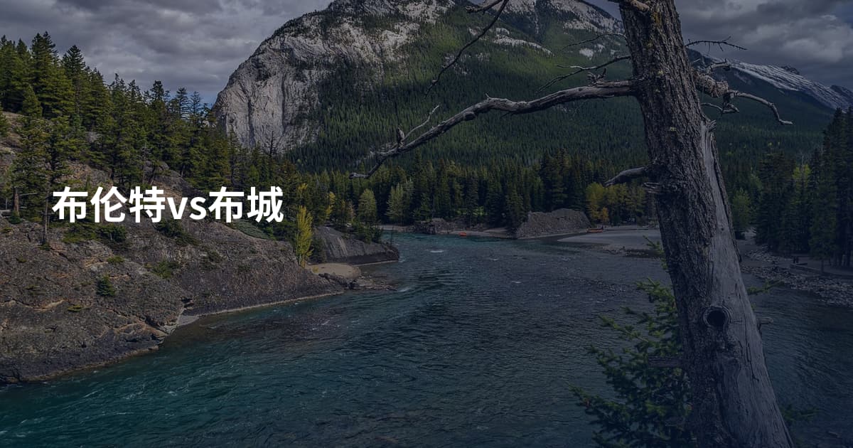 布伦特vs布城