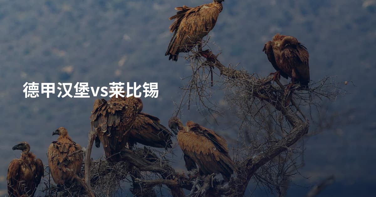 德甲汉堡vs莱比锡