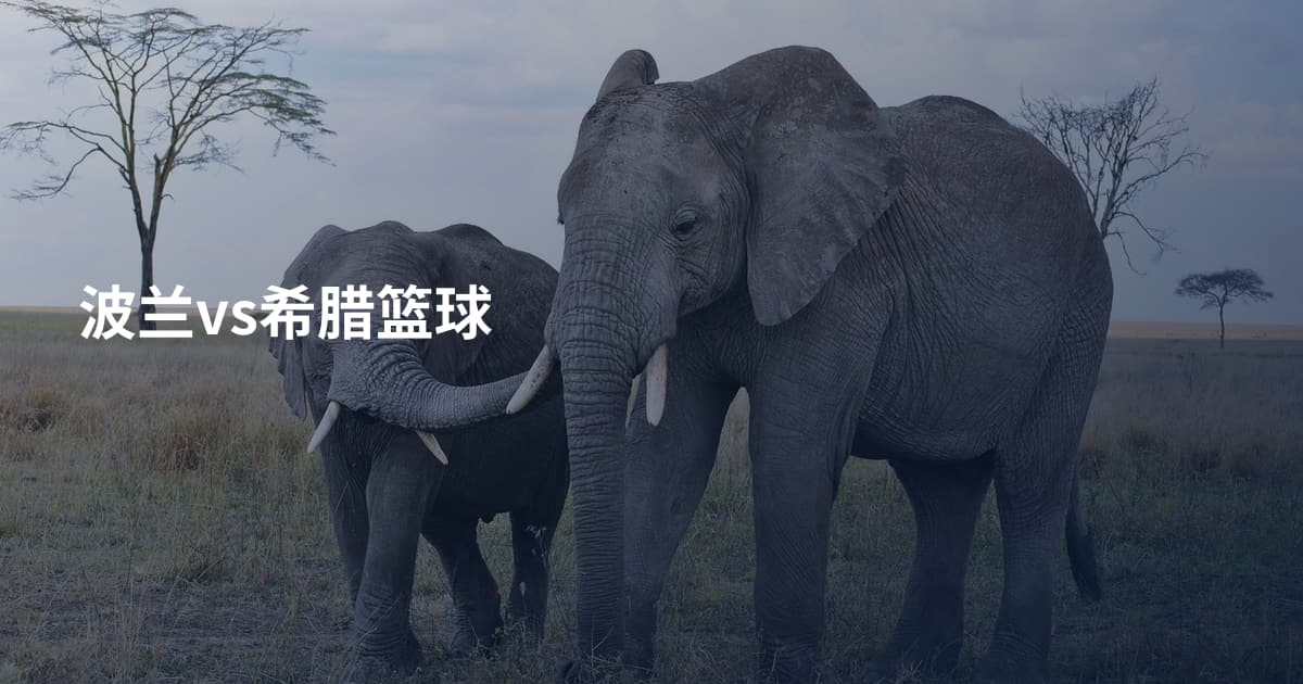 波兰vs希腊篮球