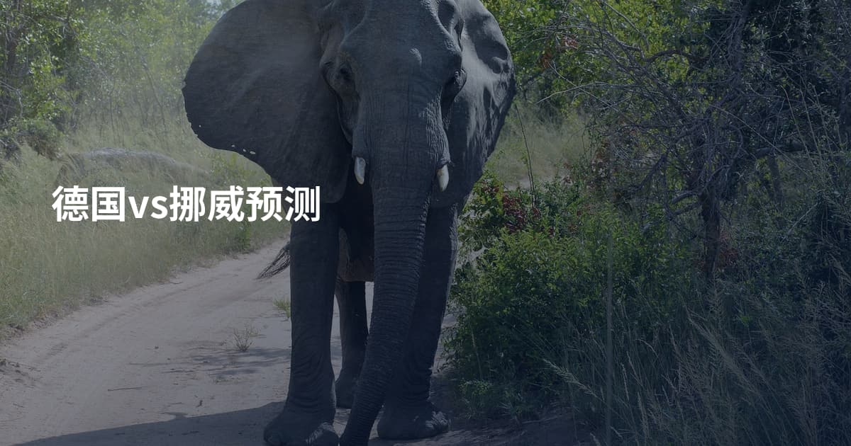 德国vs挪威预测