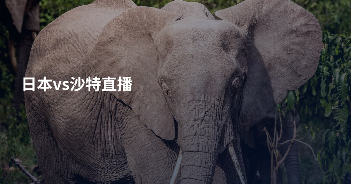 日本vs沙特直播