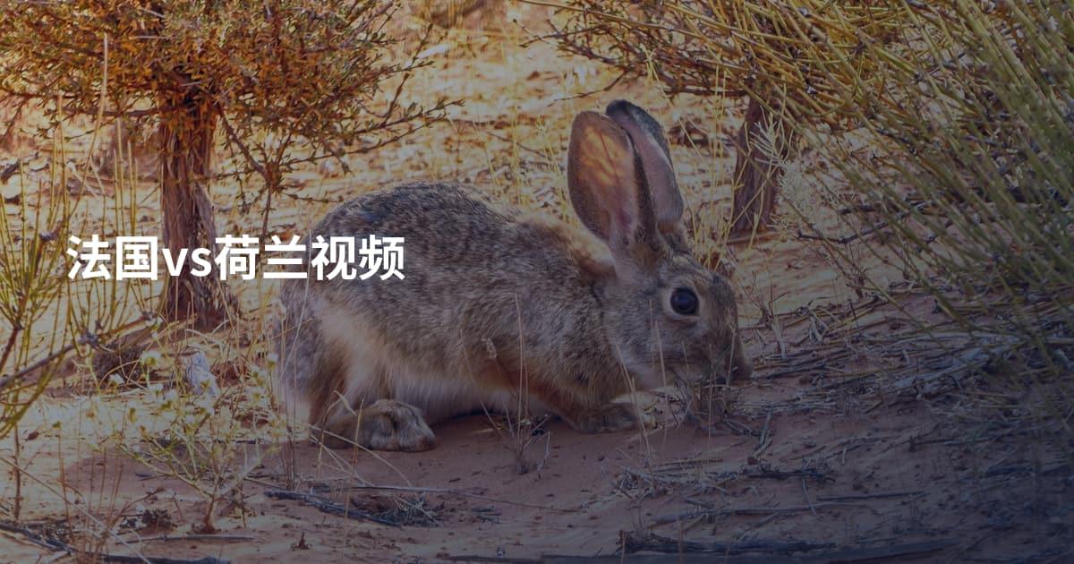 法国vs荷兰视频