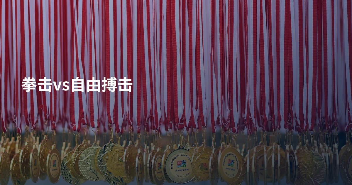 拳击vs自由搏击