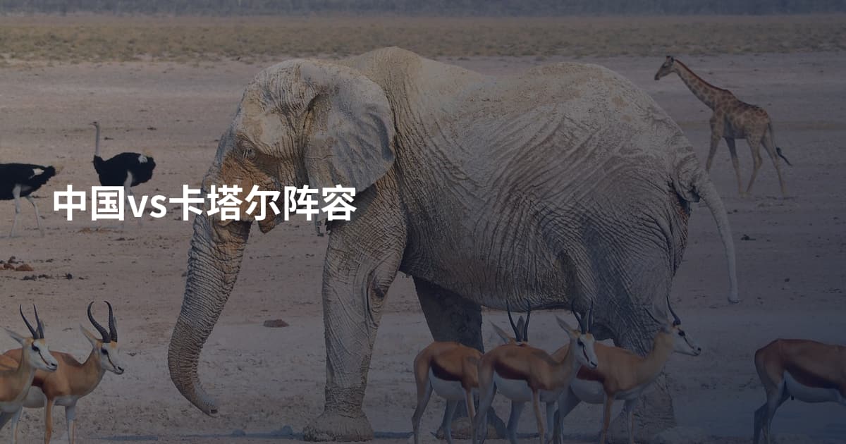 中国vs卡塔尔阵容