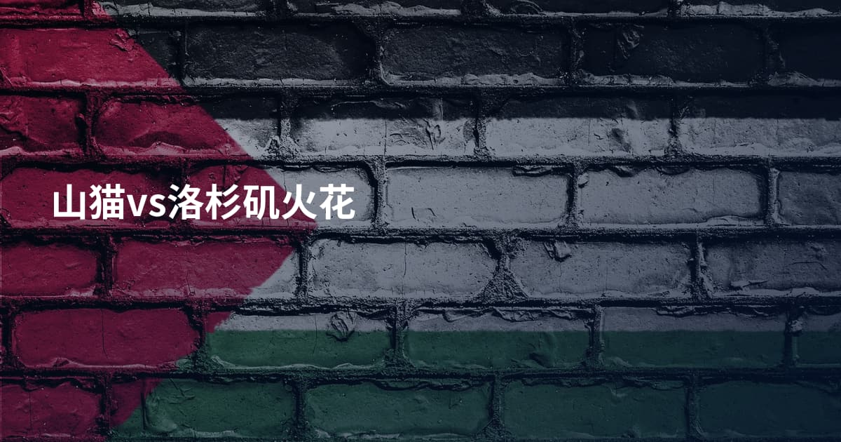山猫vs洛杉矶火花