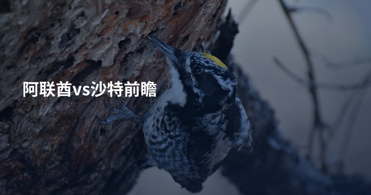 阿联酋vs沙特前瞻