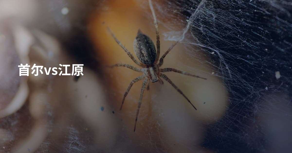 首尔vs江原