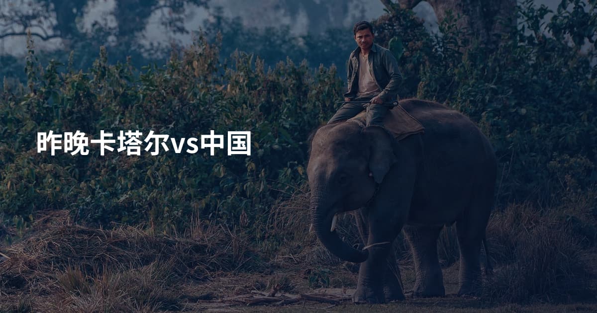 昨晚卡塔尔vs中国