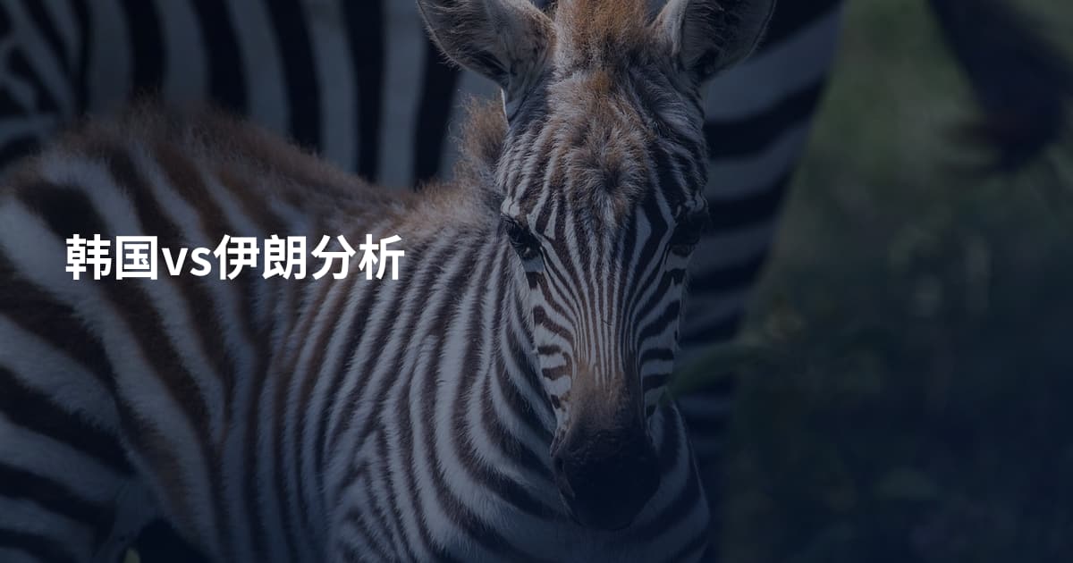韩国vs伊朗分析
