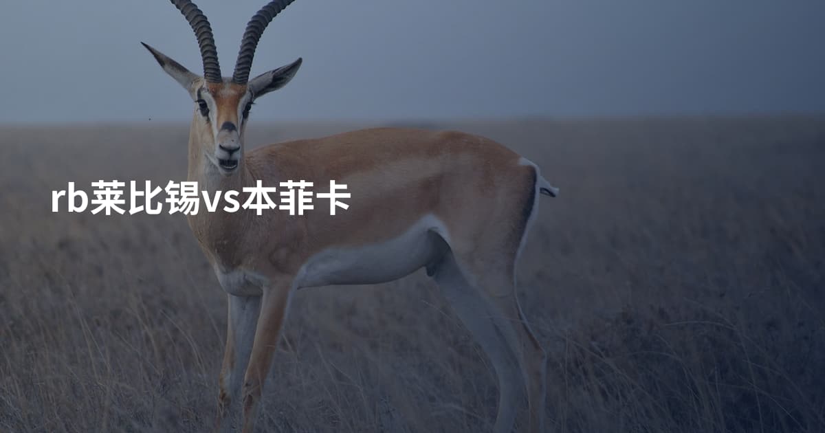 rb莱比锡vs本菲卡