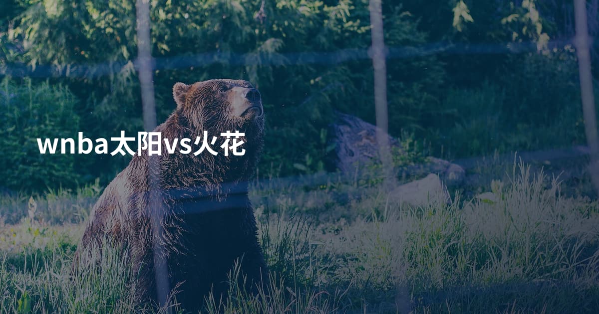 wnba太阳vs火花
