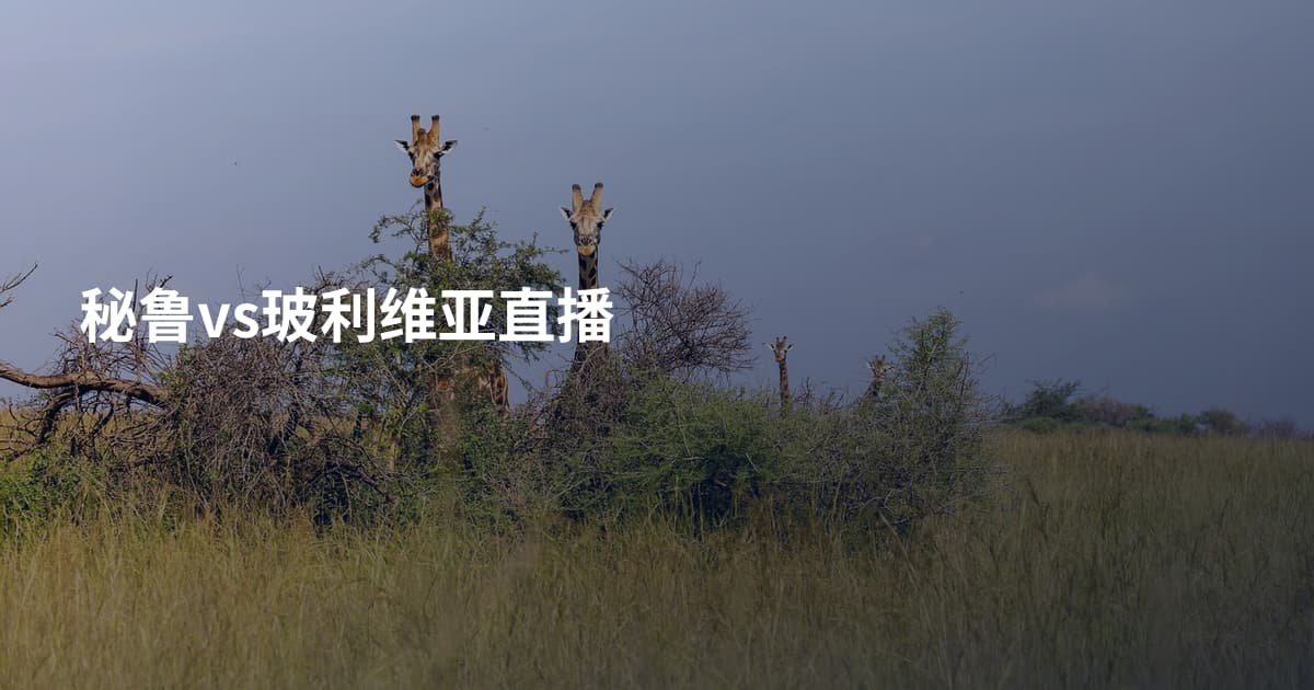 秘鲁vs玻利维亚直播
