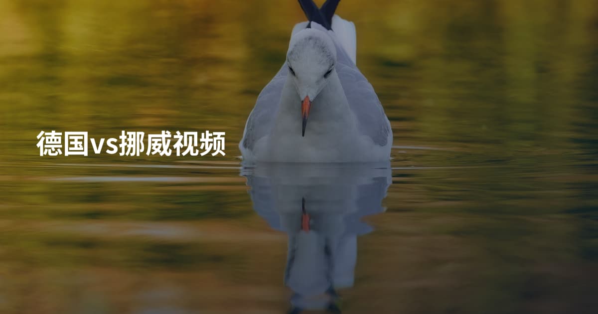 德国vs挪威视频