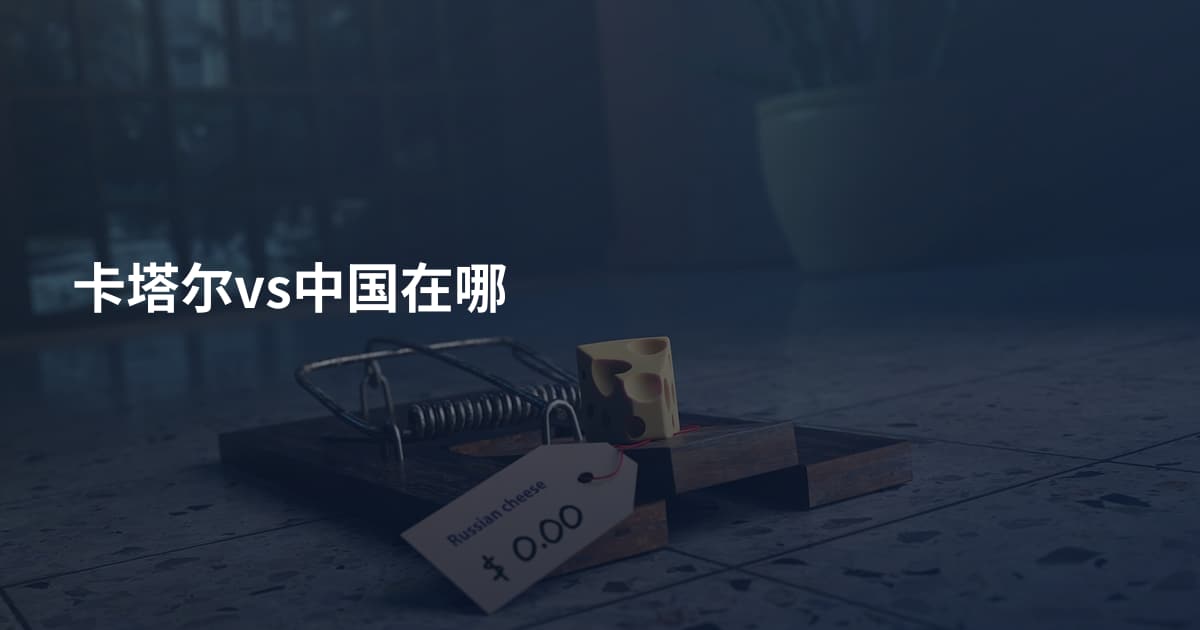 卡塔尔vs中国在哪
