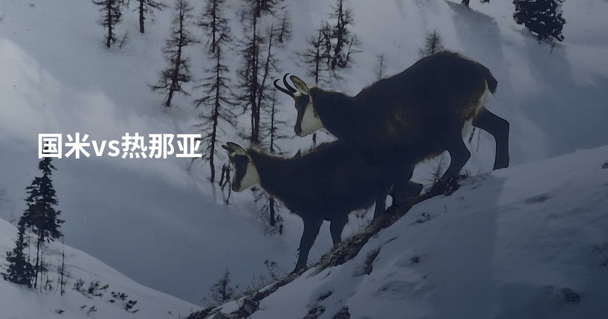 国米vs热那亚