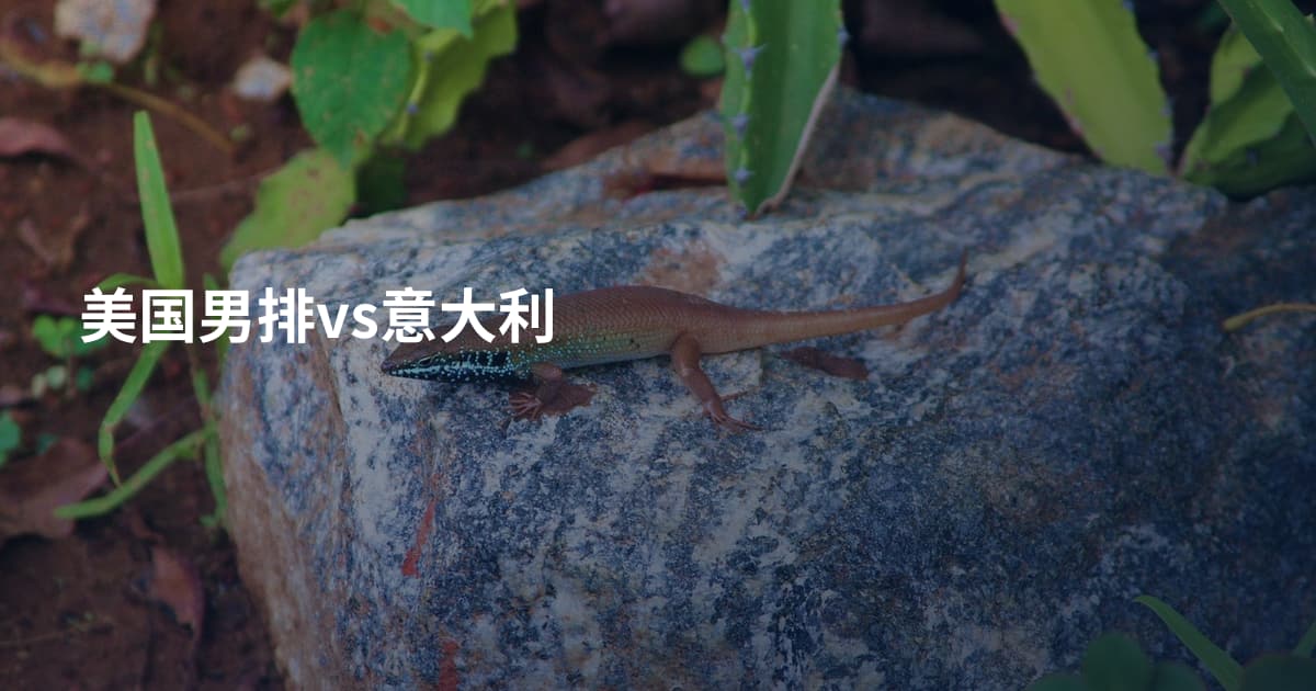 美国男排vs意大利