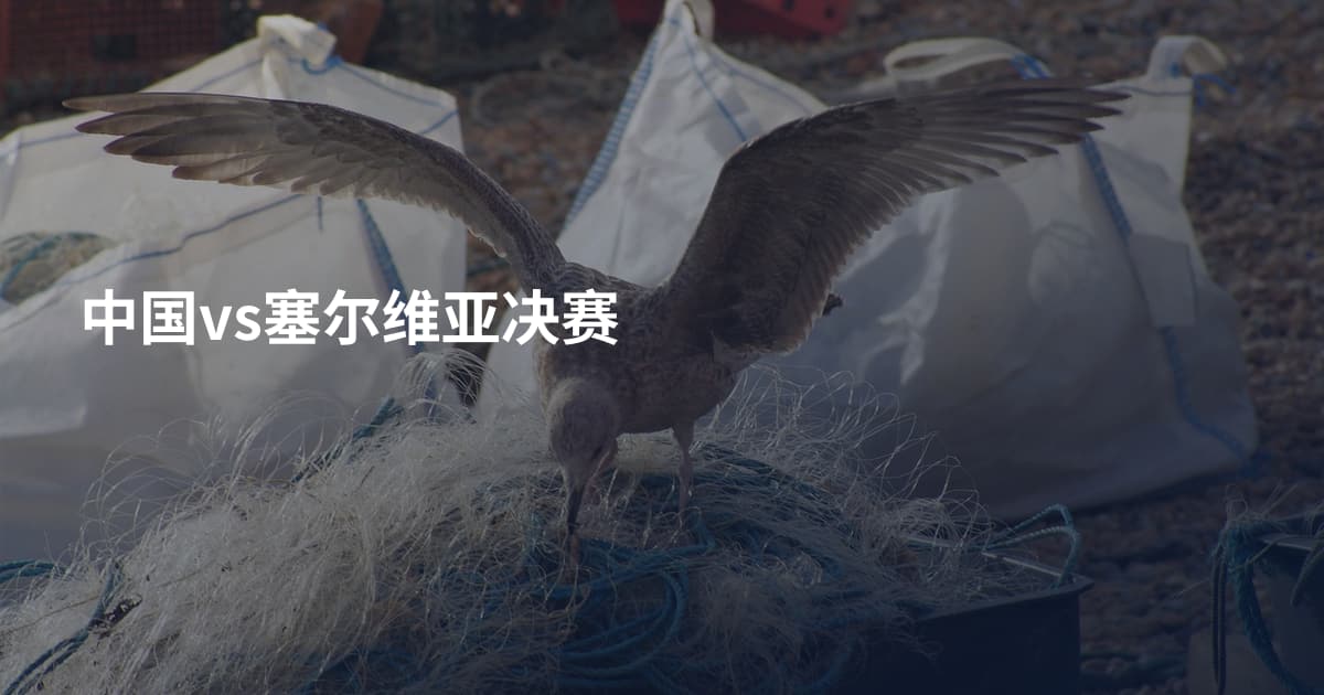 中国vs塞尔维亚决赛