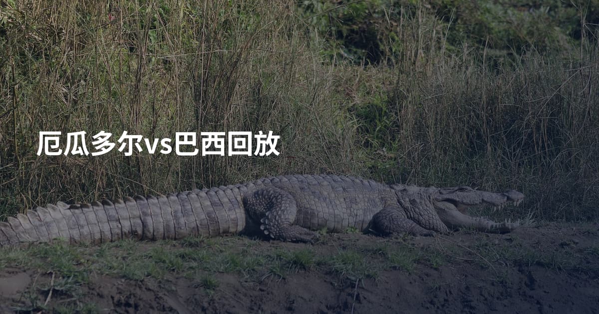 厄瓜多尔vs巴西回放