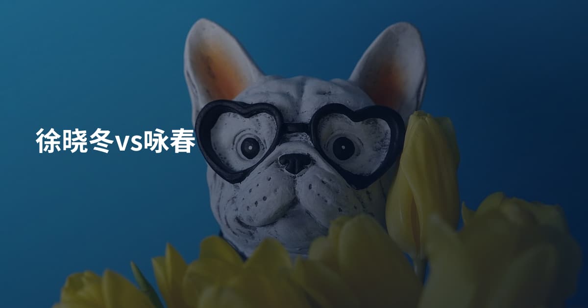 徐晓冬vs咏春