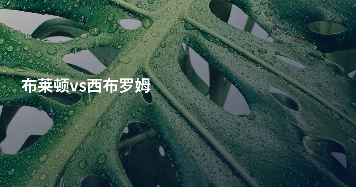 布莱顿vs西布罗姆