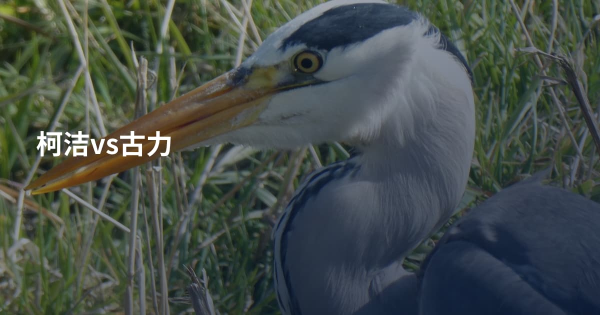 柯洁vs古力
