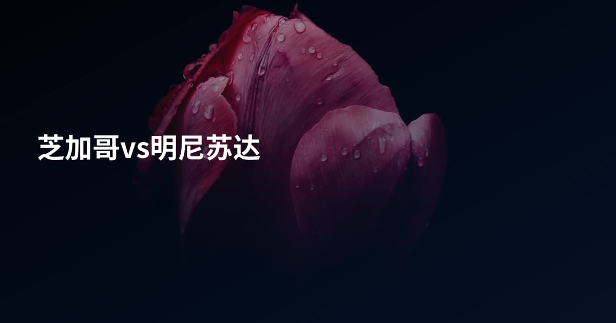 芝加哥vs明尼苏达