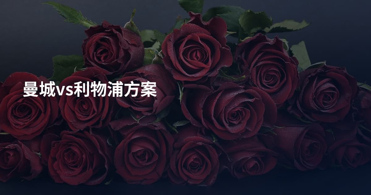 曼城vs利物浦方案