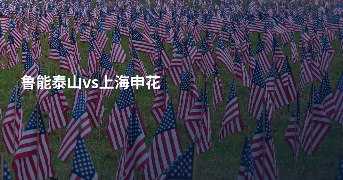 鲁能泰山vs上海申花