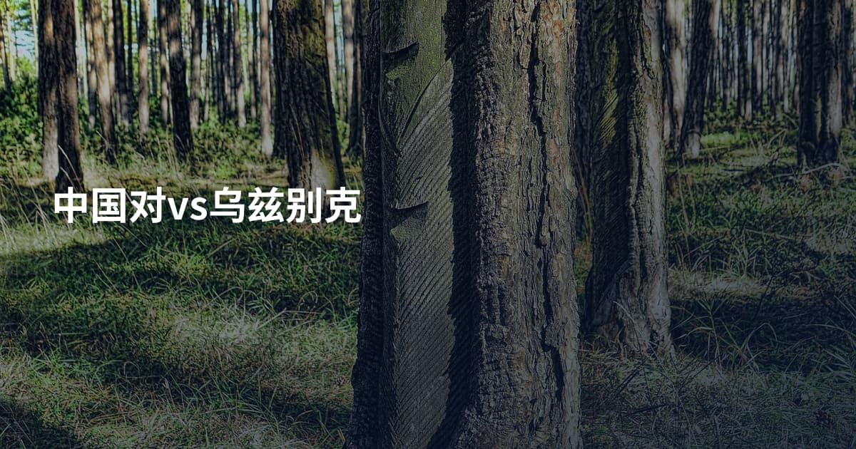 中国对vs乌兹别克