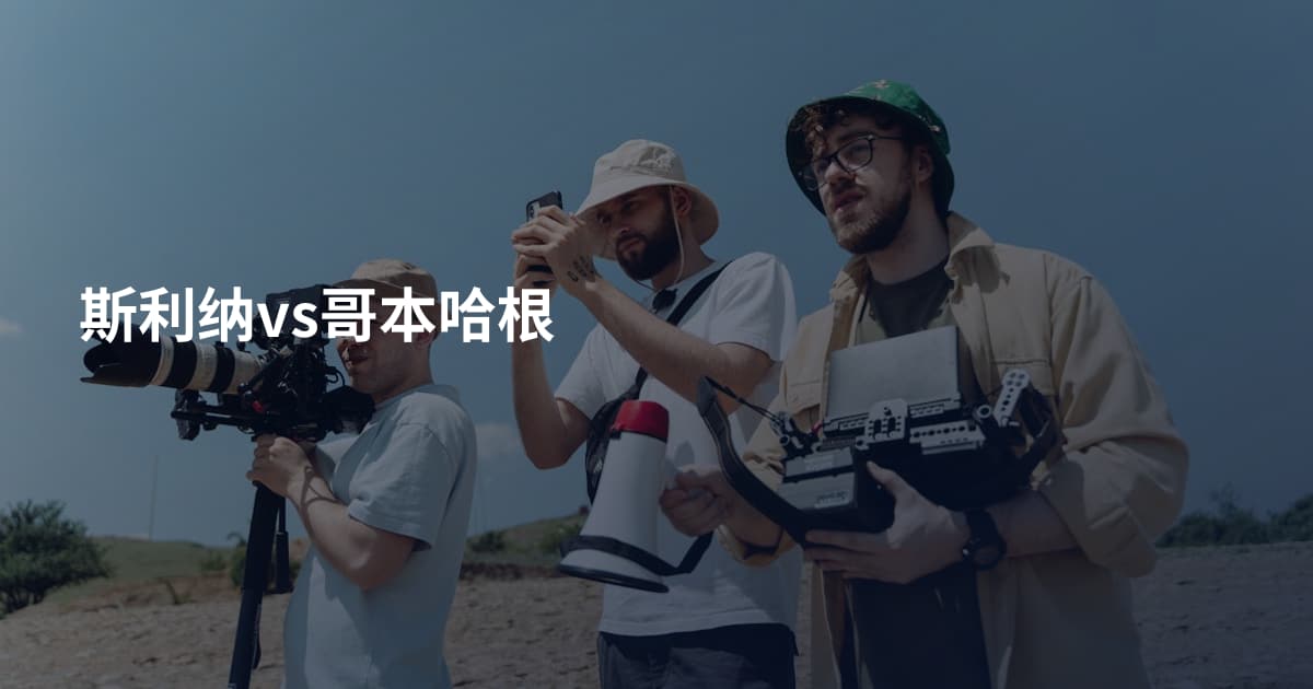 斯利纳vs哥本哈根