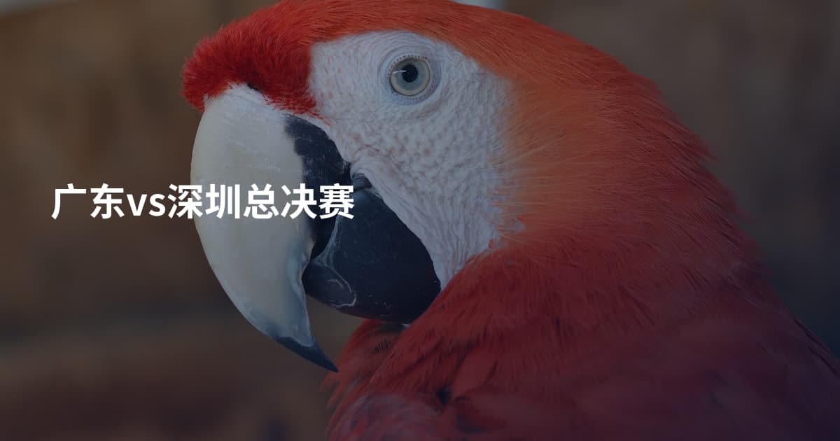 广东vs深圳总决赛