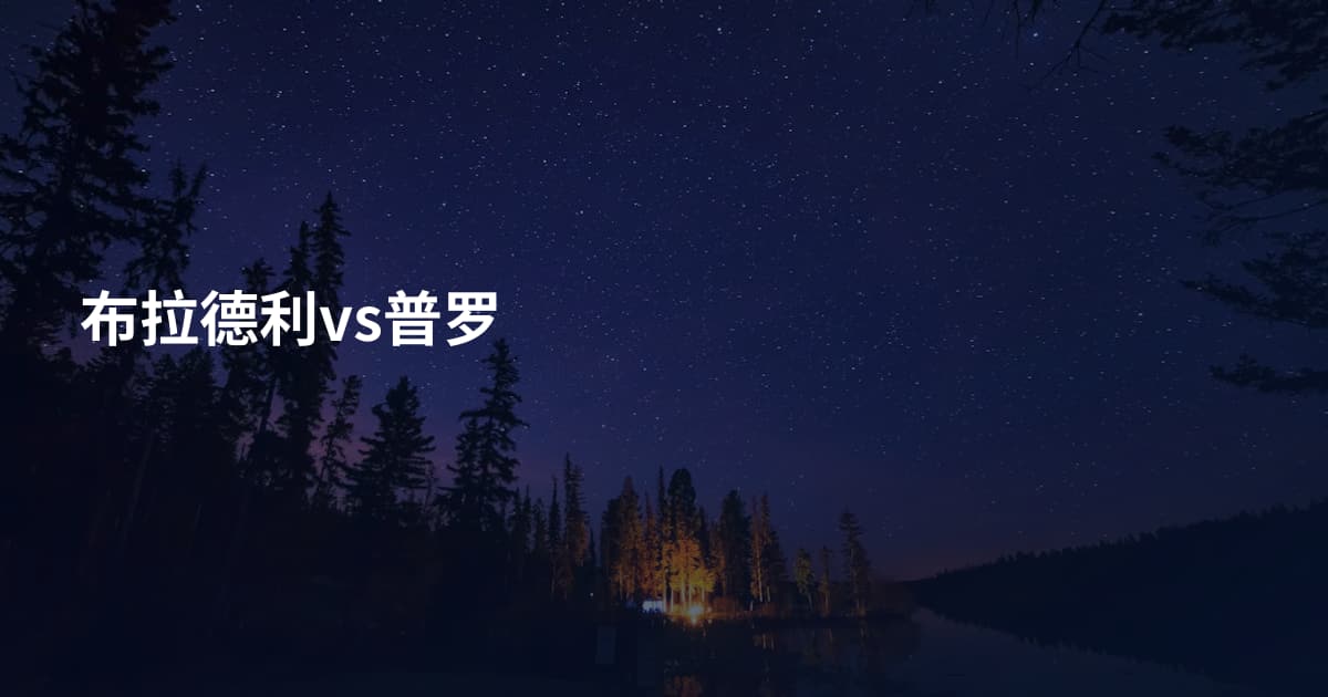 布拉德利vs普罗
