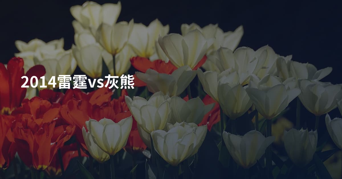 2014雷霆vs灰熊