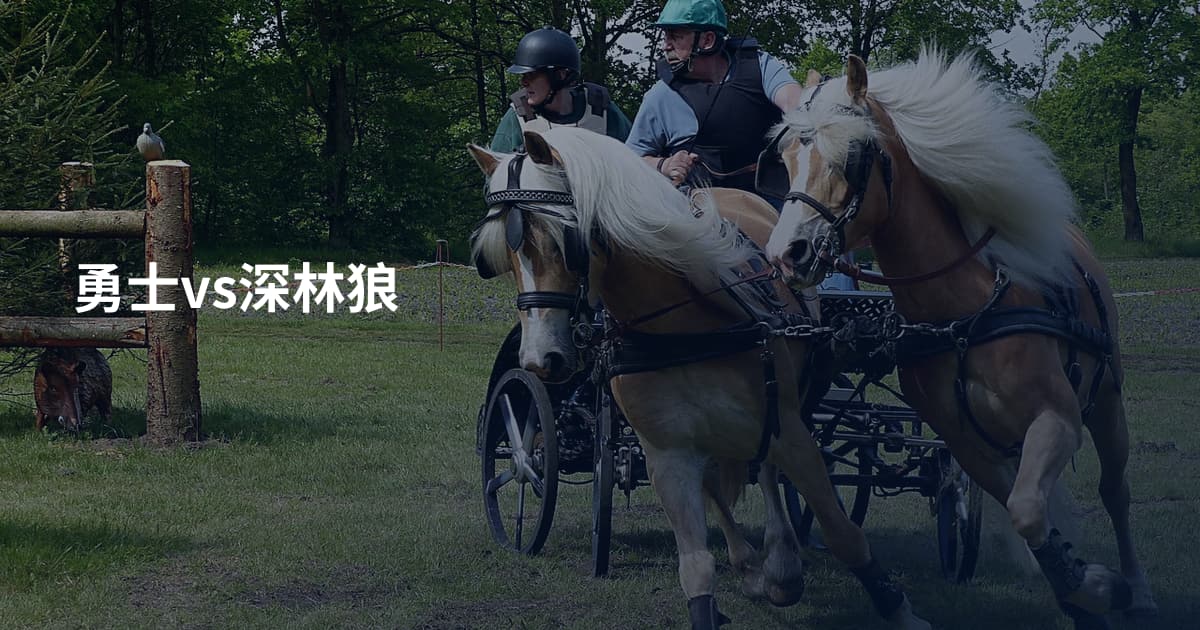 勇士vs深林狼
