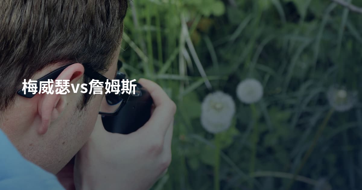 梅威瑟vs詹姆斯