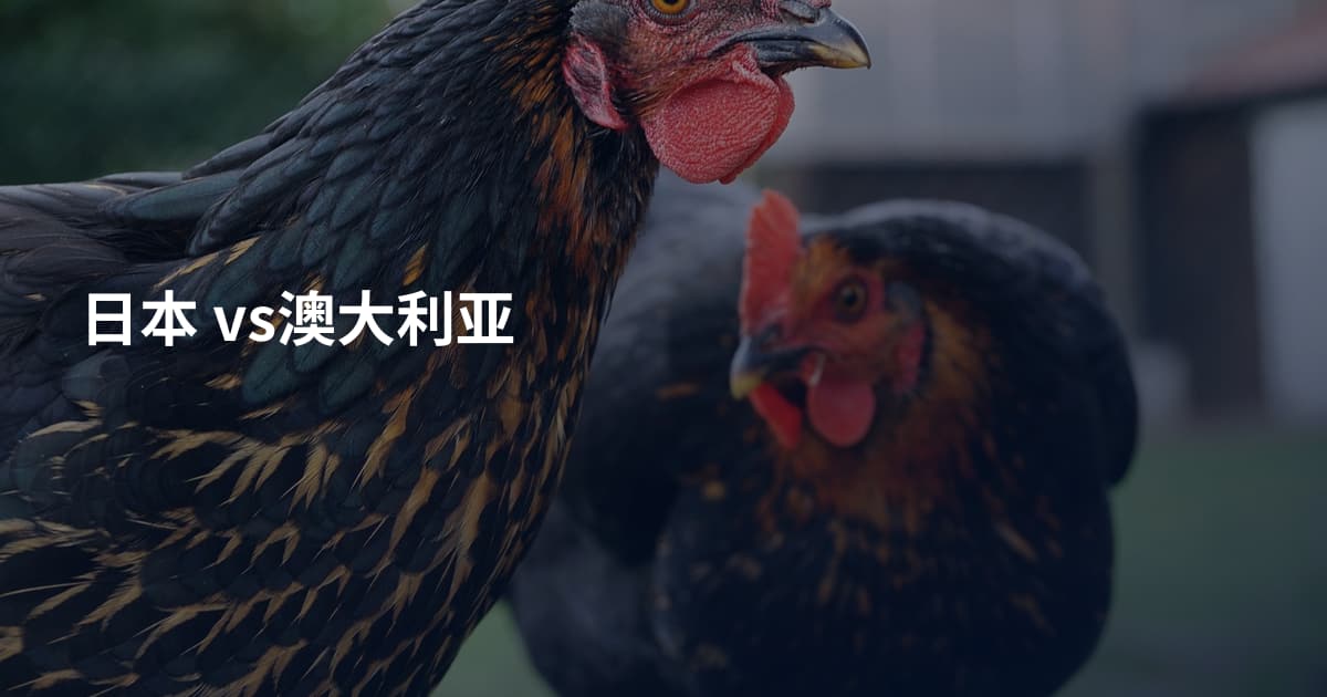 日本 vs澳大利亚