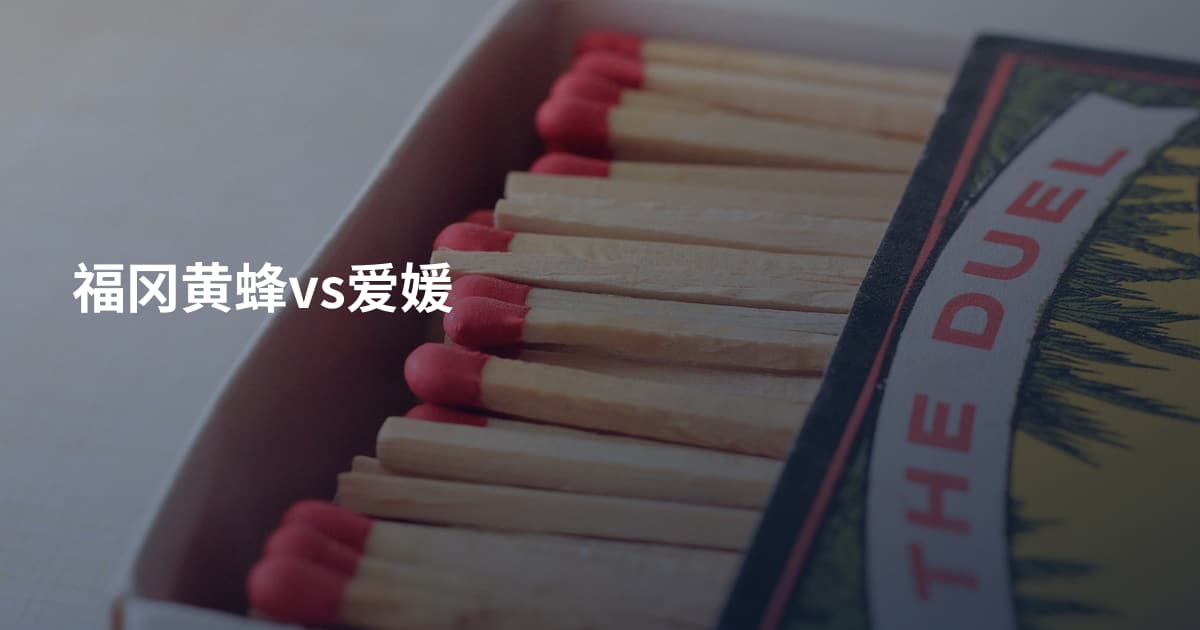 福冈黄蜂vs爱媛