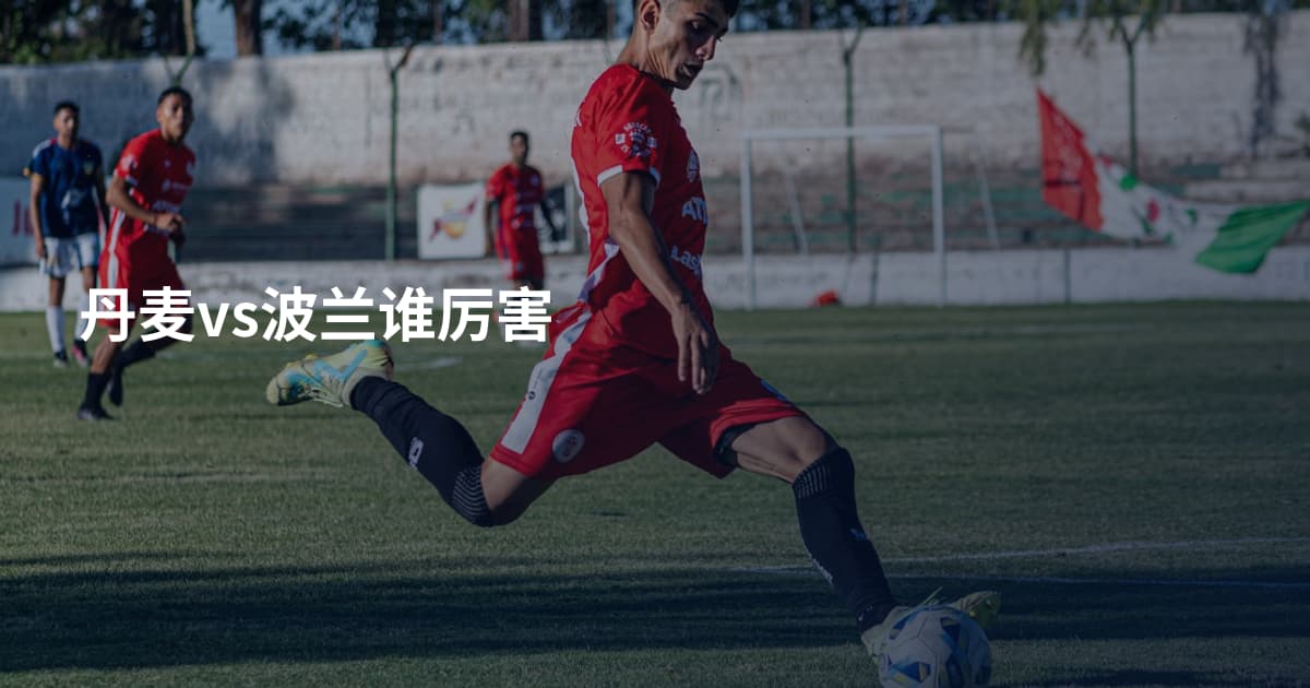 丹麦vs波兰谁厉害