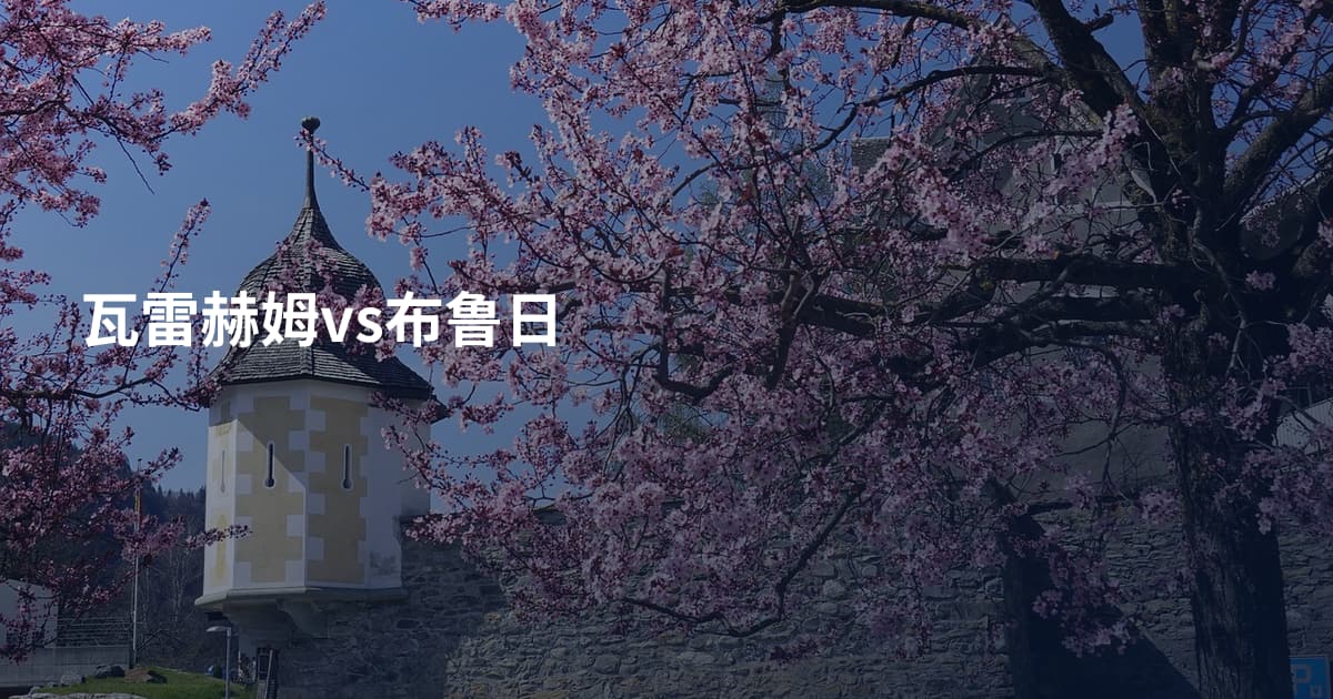瓦雷赫姆vs布鲁日