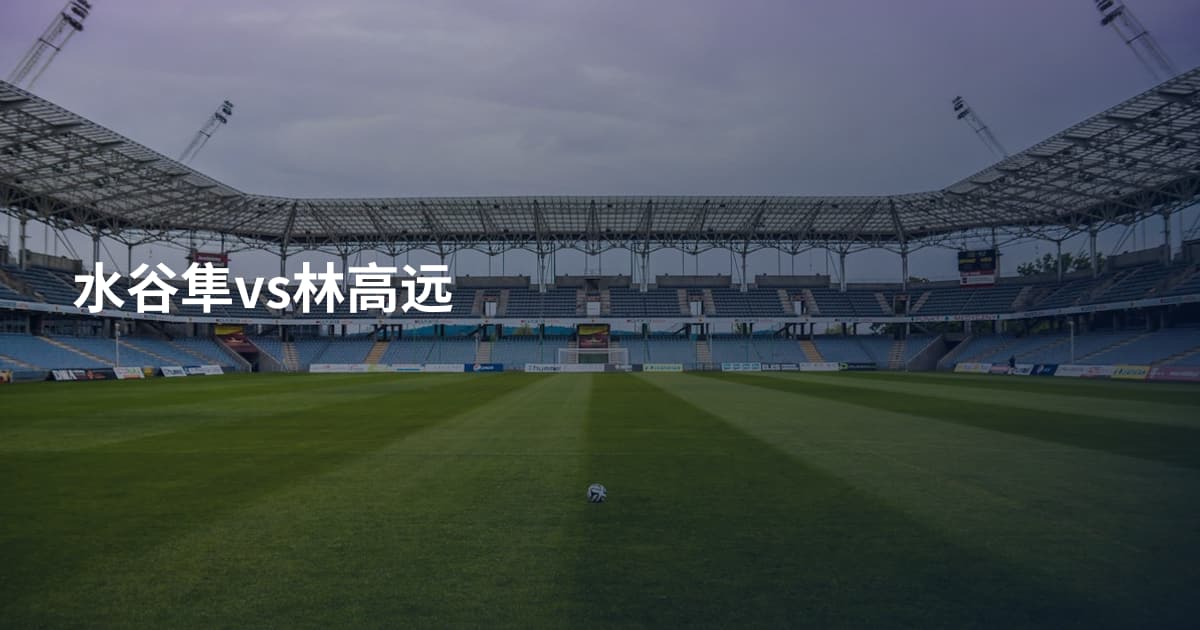 水谷隼vs林高远