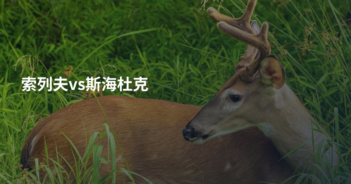索列夫vs斯海杜克
